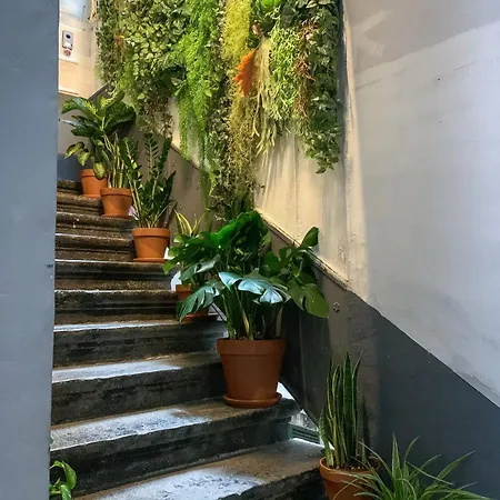 Serendipity 2*