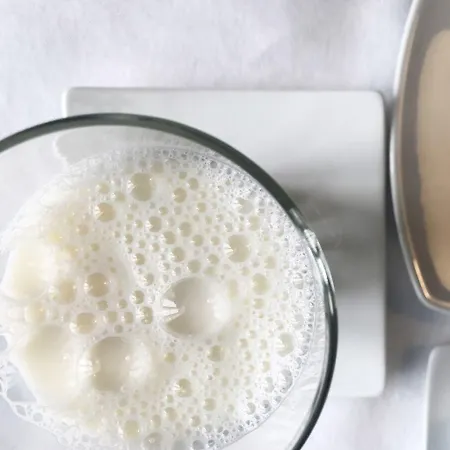 Serendipity Gæstehus