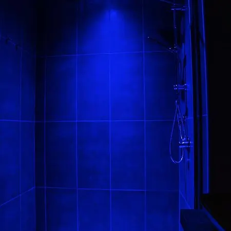 Pensjonat Serendipity 4*